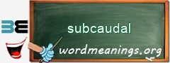 WordMeaning blackboard for subcaudal